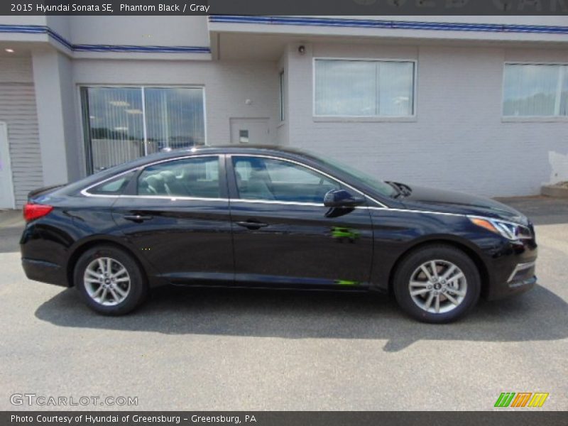 Phantom Black / Gray 2015 Hyundai Sonata SE