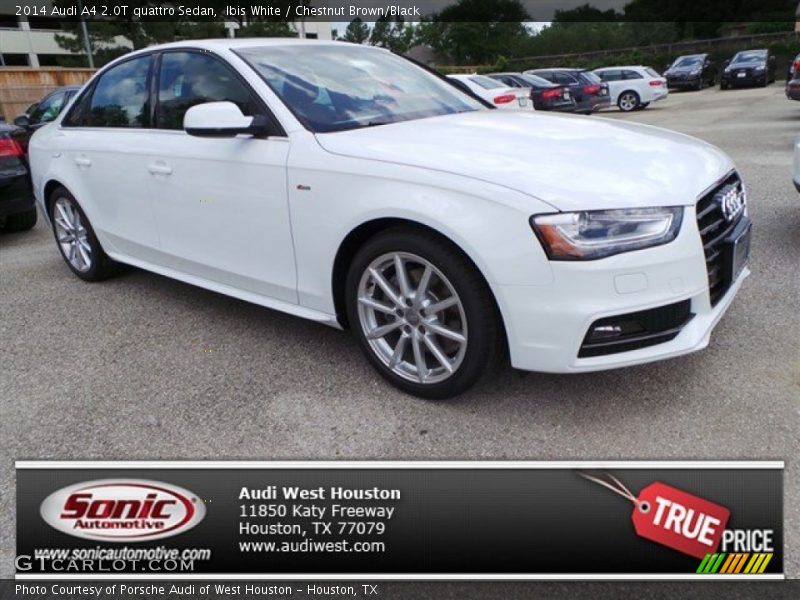 Ibis White / Chestnut Brown/Black 2014 Audi A4 2.0T quattro Sedan