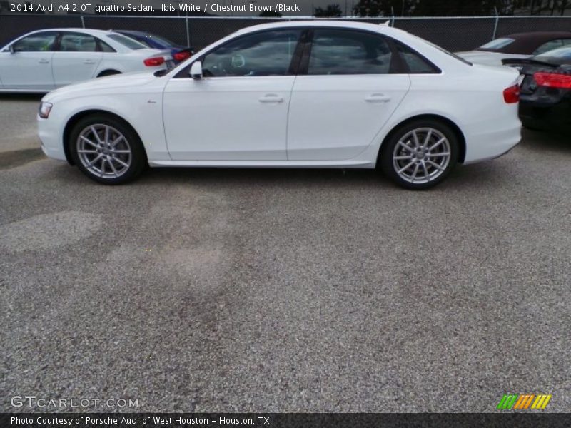 Ibis White / Chestnut Brown/Black 2014 Audi A4 2.0T quattro Sedan