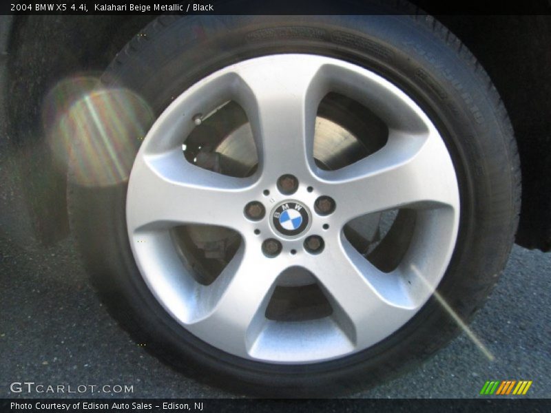 Kalahari Beige Metallic / Black 2004 BMW X5 4.4i