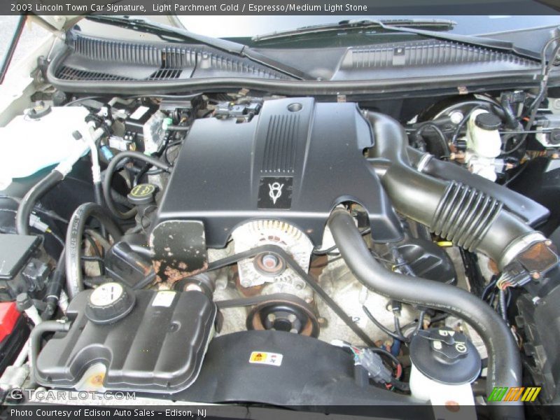 Light Parchment Gold / Espresso/Medium Light Stone 2003 Lincoln Town Car Signature