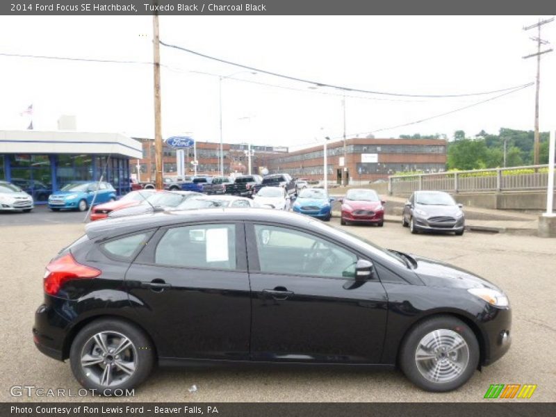 Tuxedo Black / Charcoal Black 2014 Ford Focus SE Hatchback