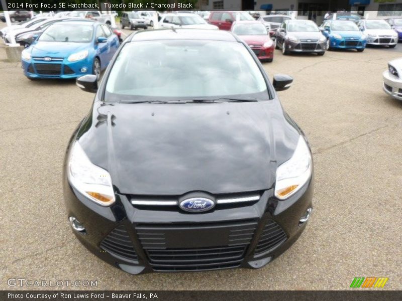 Tuxedo Black / Charcoal Black 2014 Ford Focus SE Hatchback