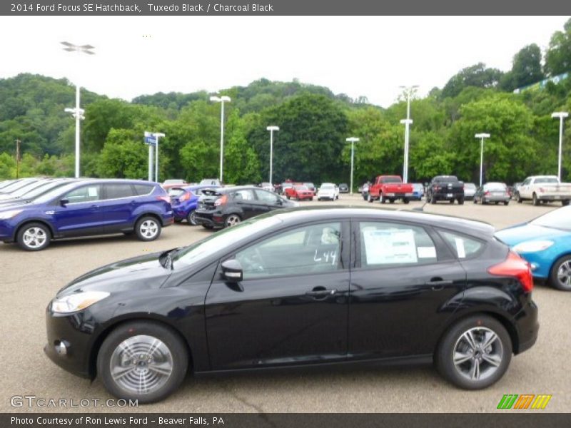 Tuxedo Black / Charcoal Black 2014 Ford Focus SE Hatchback