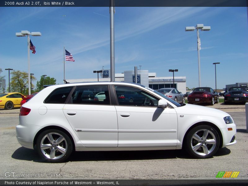 Ibis White / Black 2008 Audi A3 2.0T