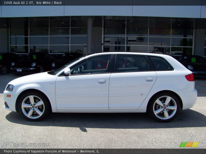 Ibis White / Black 2008 Audi A3 2.0T