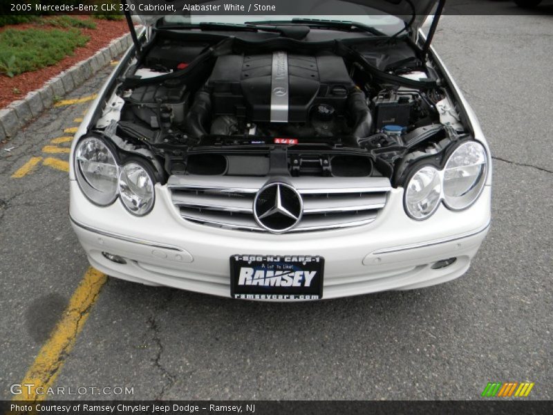 Alabaster White / Stone 2005 Mercedes-Benz CLK 320 Cabriolet