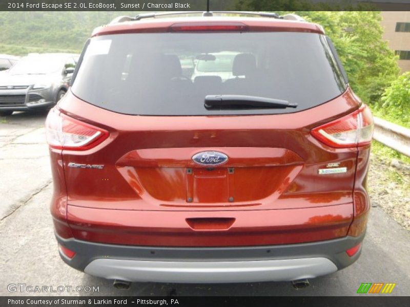 Sunset / Charcoal Black 2014 Ford Escape SE 2.0L EcoBoost