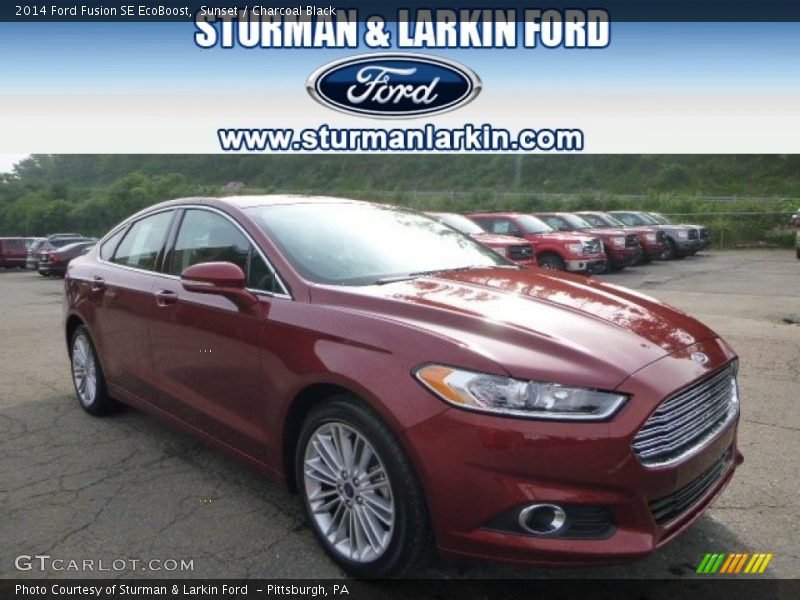 Sunset / Charcoal Black 2014 Ford Fusion SE EcoBoost