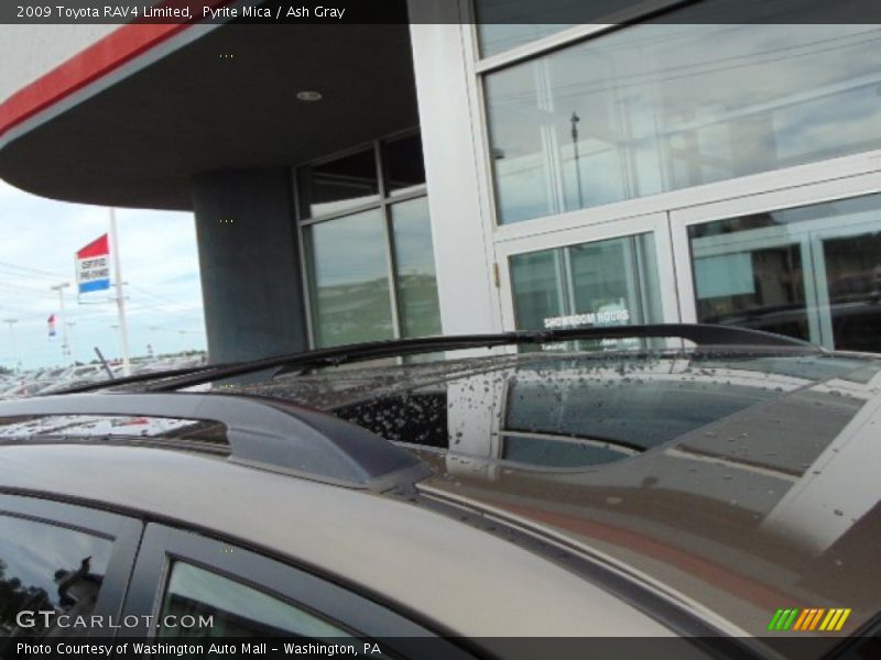 Pyrite Mica / Ash Gray 2009 Toyota RAV4 Limited