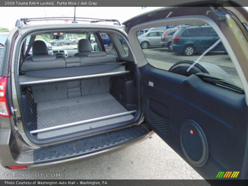 Pyrite Mica / Ash Gray 2009 Toyota RAV4 Limited