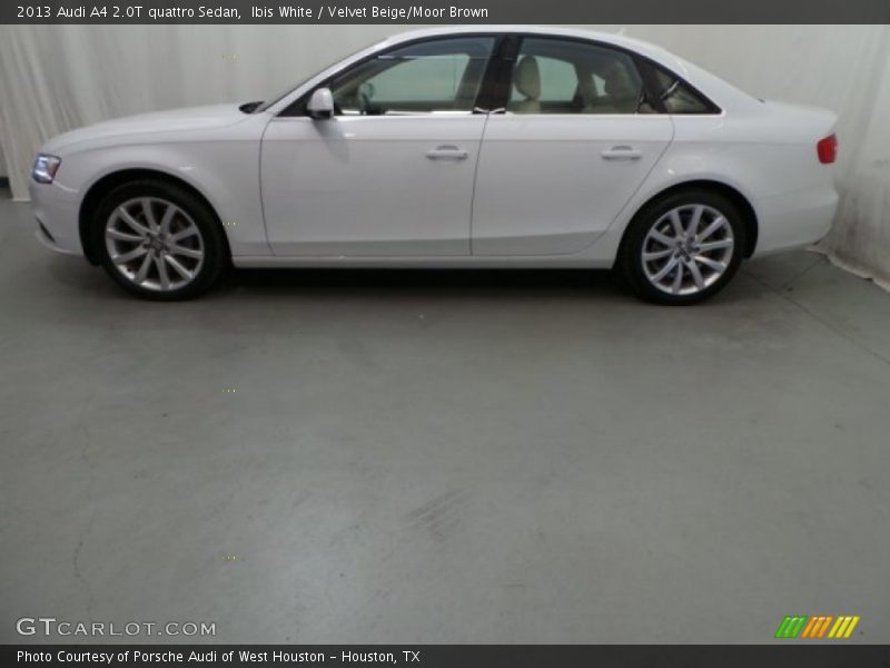 Ibis White / Velvet Beige/Moor Brown 2013 Audi A4 2.0T quattro Sedan