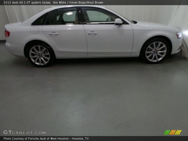 Ibis White / Velvet Beige/Moor Brown 2013 Audi A4 2.0T quattro Sedan