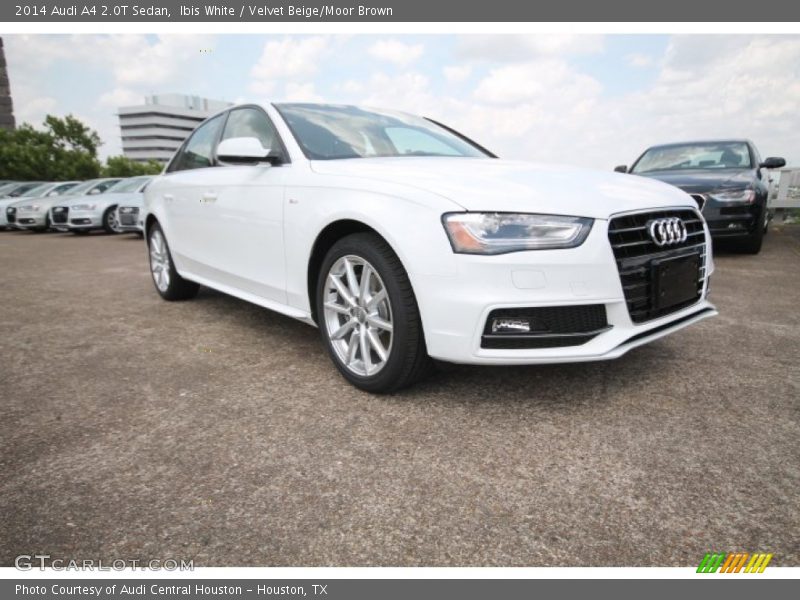 Ibis White / Velvet Beige/Moor Brown 2014 Audi A4 2.0T Sedan