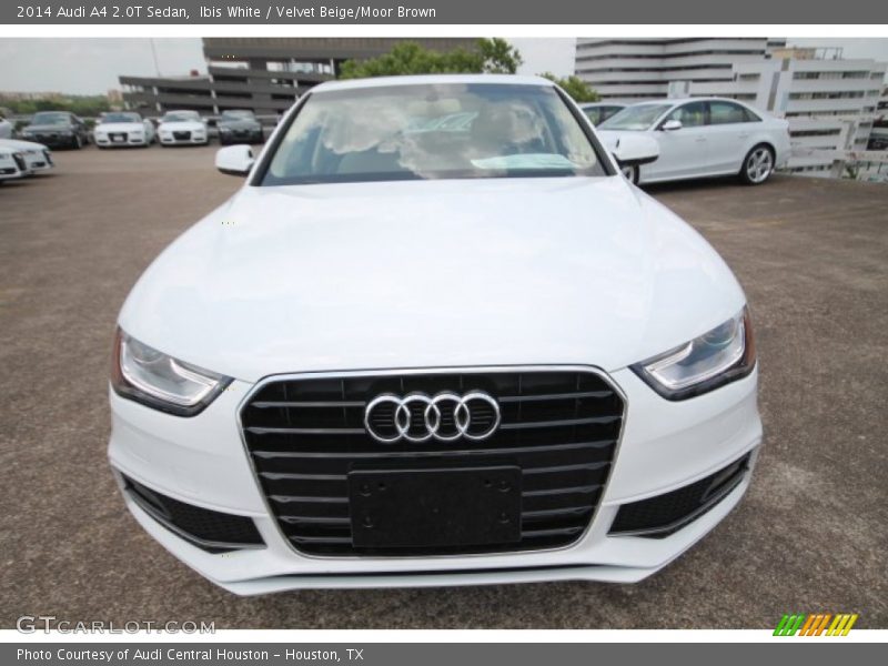 Ibis White / Velvet Beige/Moor Brown 2014 Audi A4 2.0T Sedan