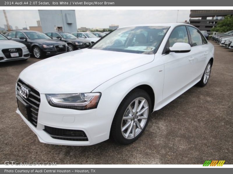 Ibis White / Velvet Beige/Moor Brown 2014 Audi A4 2.0T Sedan