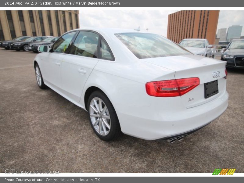 Ibis White / Velvet Beige/Moor Brown 2014 Audi A4 2.0T Sedan