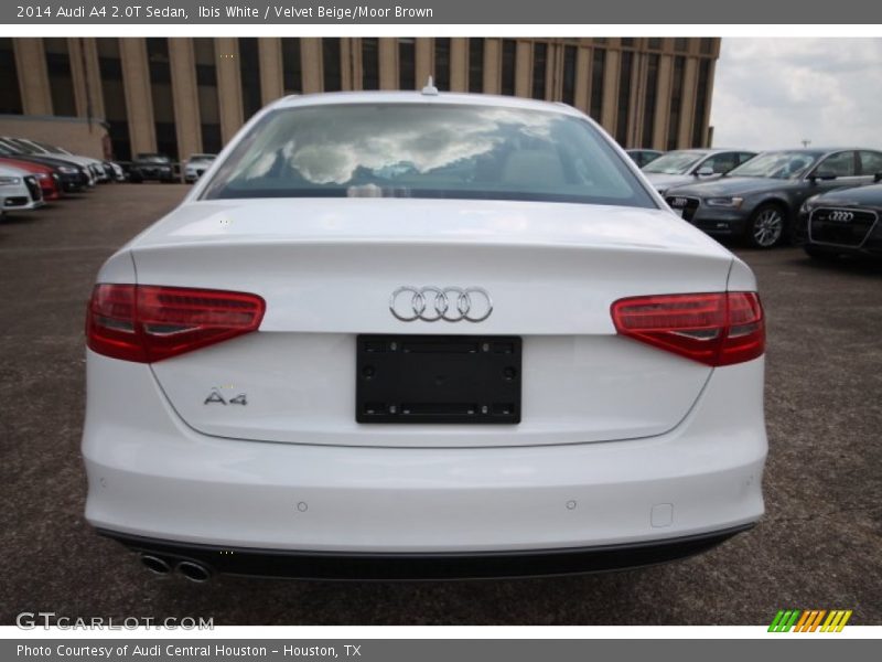 Ibis White / Velvet Beige/Moor Brown 2014 Audi A4 2.0T Sedan