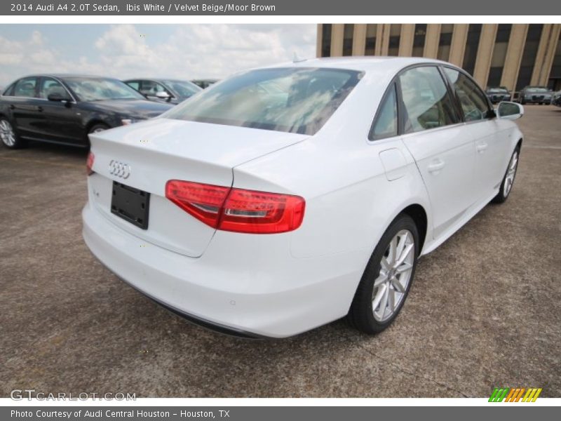Ibis White / Velvet Beige/Moor Brown 2014 Audi A4 2.0T Sedan