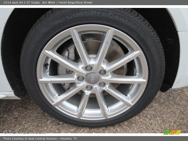 Ibis White / Velvet Beige/Moor Brown 2014 Audi A4 2.0T Sedan