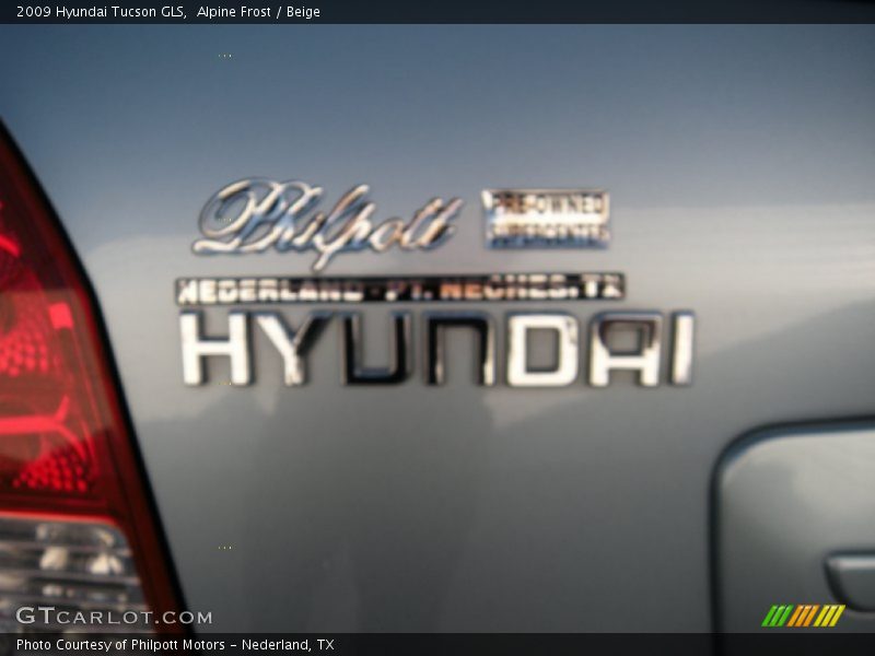 Alpine Frost / Beige 2009 Hyundai Tucson GLS
