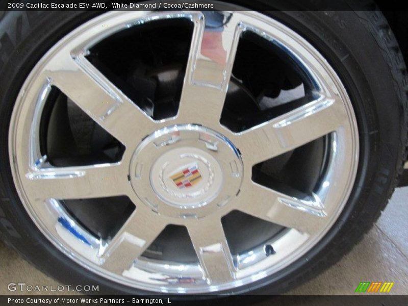 White Diamond / Cocoa/Cashmere 2009 Cadillac Escalade ESV AWD