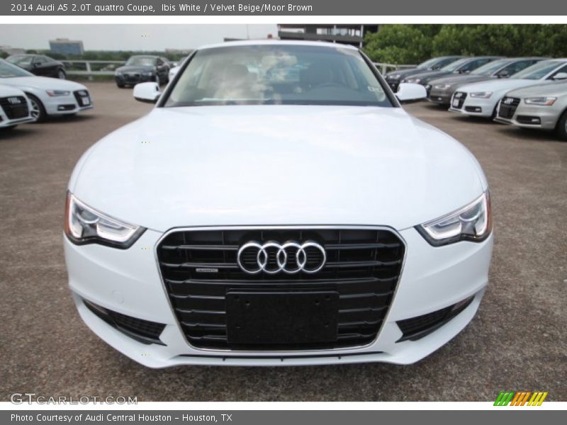 Ibis White / Velvet Beige/Moor Brown 2014 Audi A5 2.0T quattro Coupe