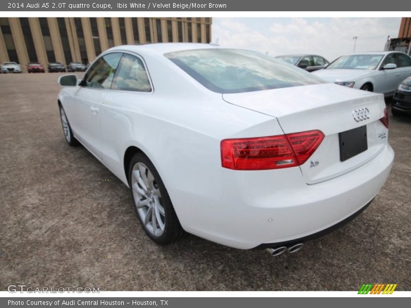 Ibis White / Velvet Beige/Moor Brown 2014 Audi A5 2.0T quattro Coupe