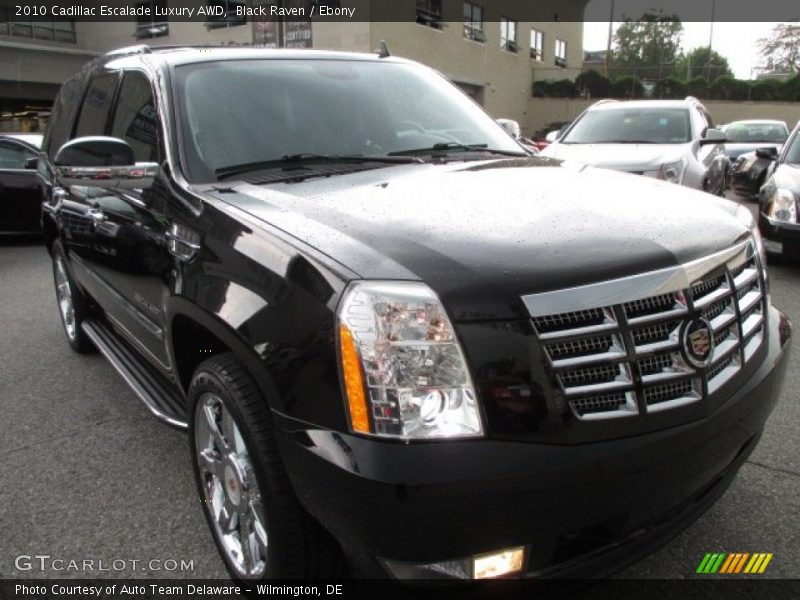 Black Raven / Ebony 2010 Cadillac Escalade Luxury AWD