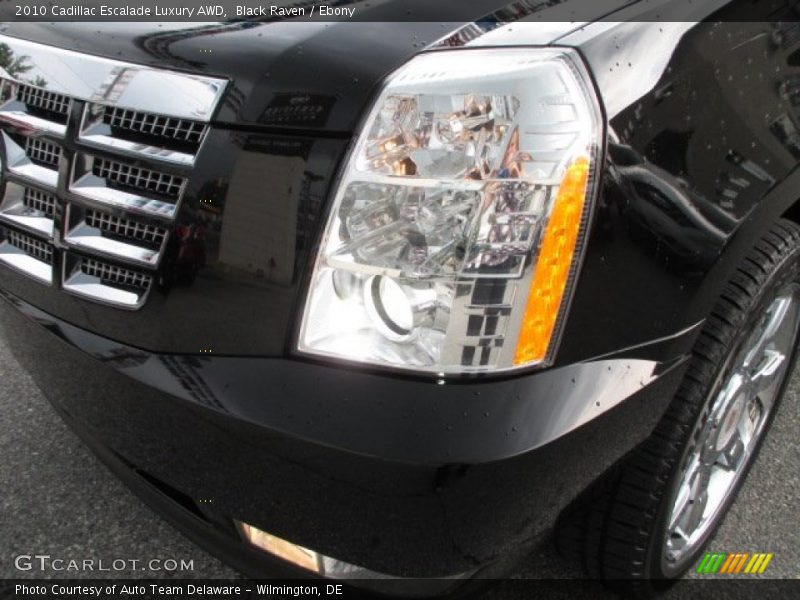 Black Raven / Ebony 2010 Cadillac Escalade Luxury AWD