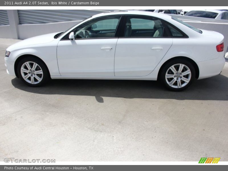 Ibis White / Cardamom Beige 2011 Audi A4 2.0T Sedan