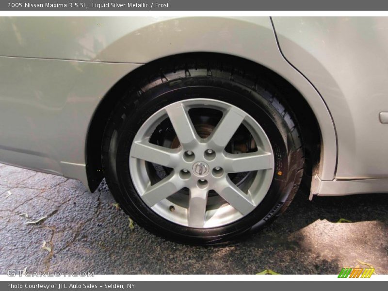 Liquid Silver Metallic / Frost 2005 Nissan Maxima 3.5 SL