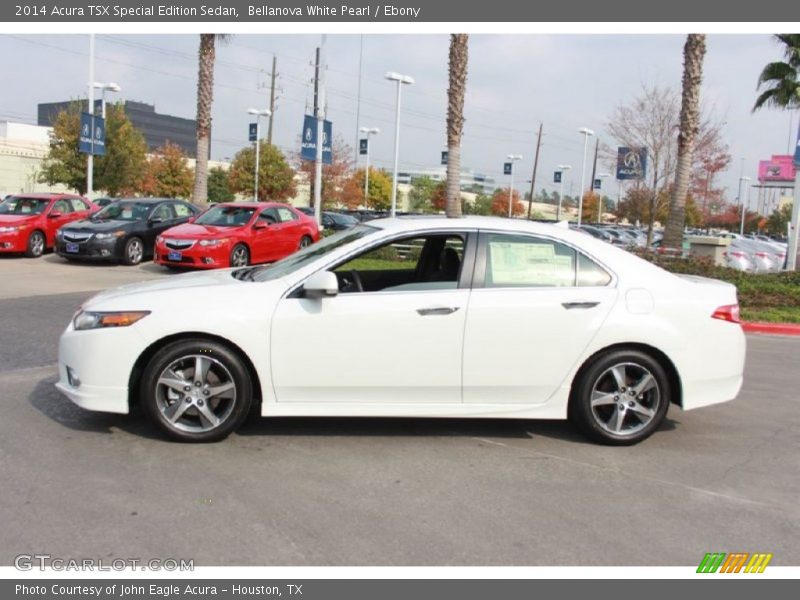 Bellanova White Pearl / Ebony 2014 Acura TSX Special Edition Sedan