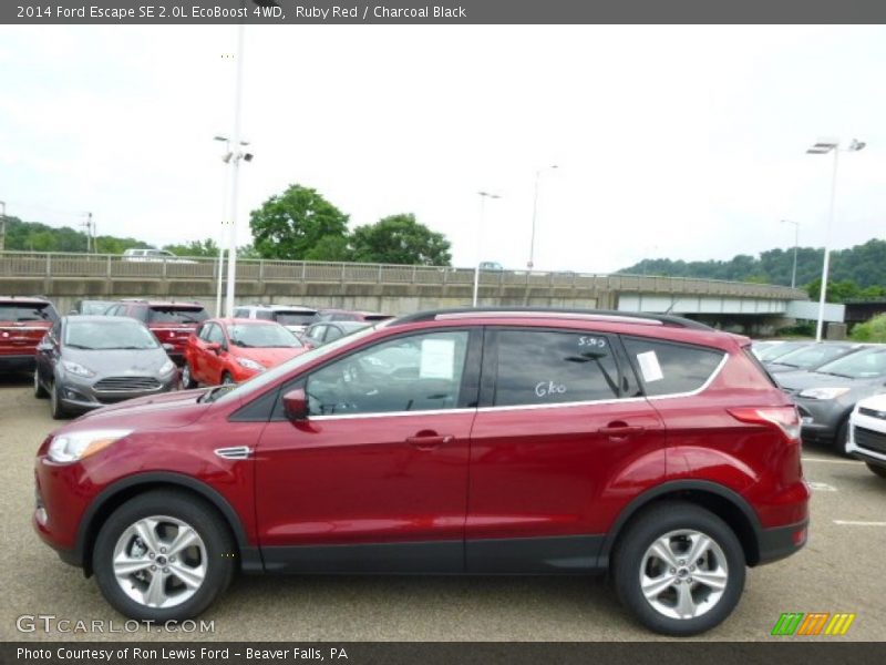 Ruby Red / Charcoal Black 2014 Ford Escape SE 2.0L EcoBoost 4WD