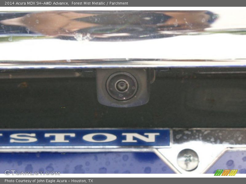 Forest Mist Metallic / Parchment 2014 Acura MDX SH-AWD Advance