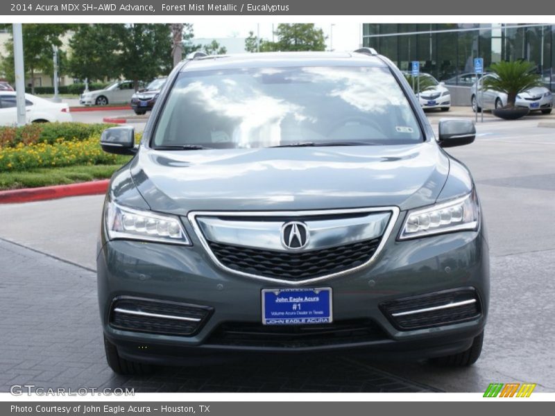 Forest Mist Metallic / Eucalyptus 2014 Acura MDX SH-AWD Advance