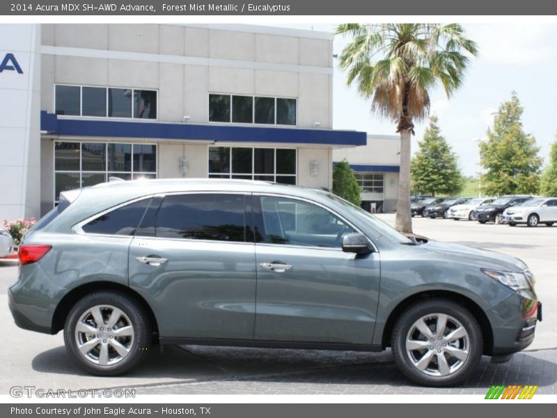  2014 MDX SH-AWD Advance Forest Mist Metallic