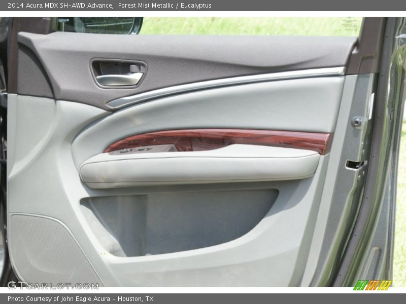 Forest Mist Metallic / Eucalyptus 2014 Acura MDX SH-AWD Advance