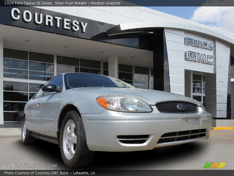 Silver Frost Metallic / Medium Graphite 2004 Ford Taurus SE Sedan