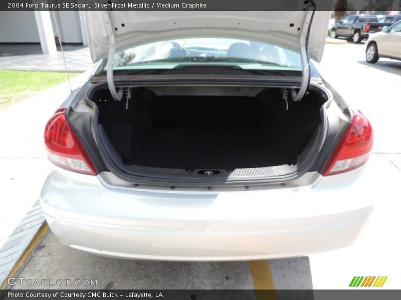 Silver Frost Metallic / Medium Graphite 2004 Ford Taurus SE Sedan