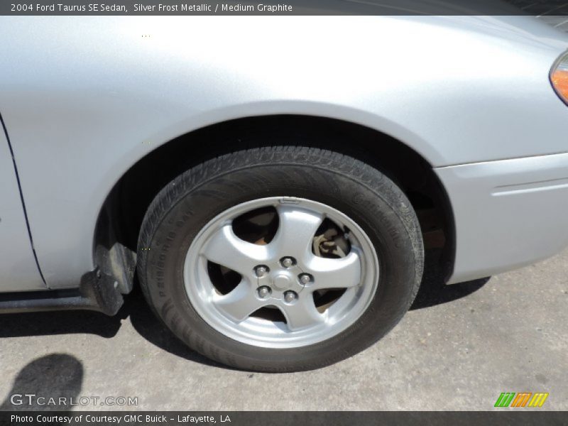 Silver Frost Metallic / Medium Graphite 2004 Ford Taurus SE Sedan