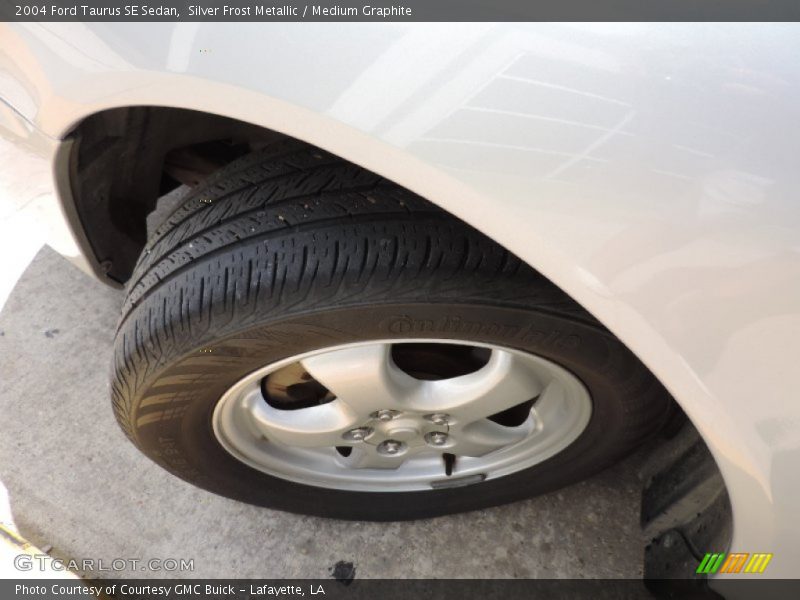 Silver Frost Metallic / Medium Graphite 2004 Ford Taurus SE Sedan