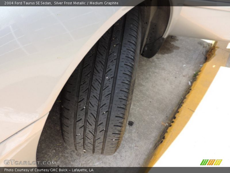 Silver Frost Metallic / Medium Graphite 2004 Ford Taurus SE Sedan
