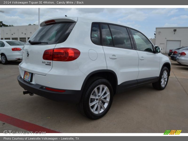 Candy White / Black 2014 Volkswagen Tiguan SE 4Motion