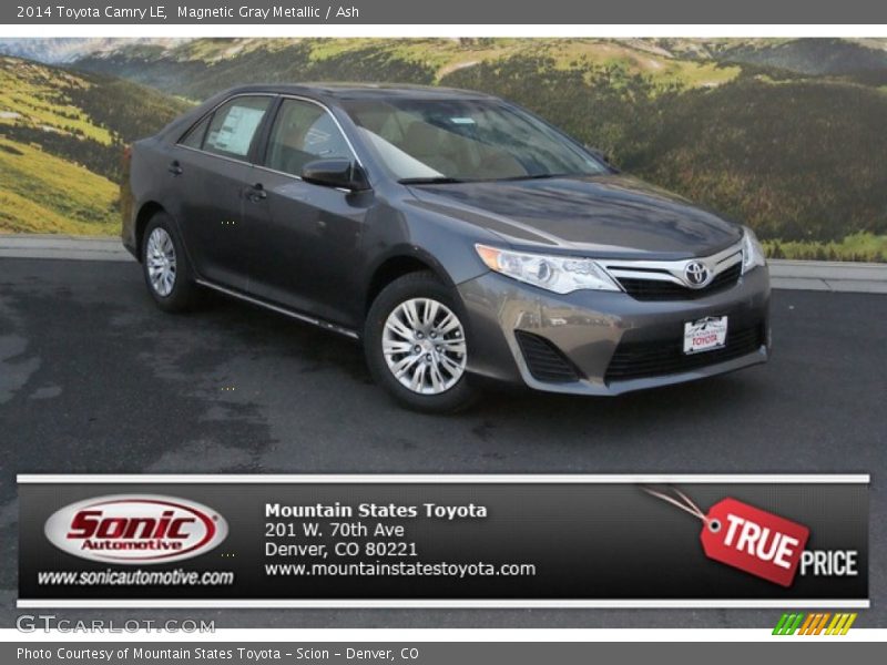 Magnetic Gray Metallic / Ash 2014 Toyota Camry LE