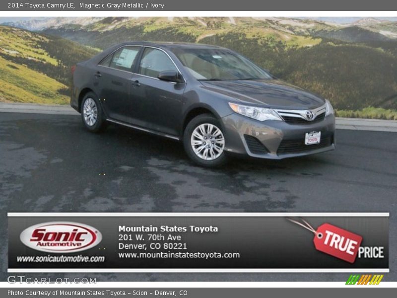 Magnetic Gray Metallic / Ivory 2014 Toyota Camry LE