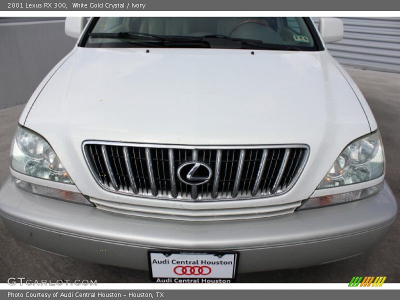White Gold Crystal / Ivory 2001 Lexus RX 300
