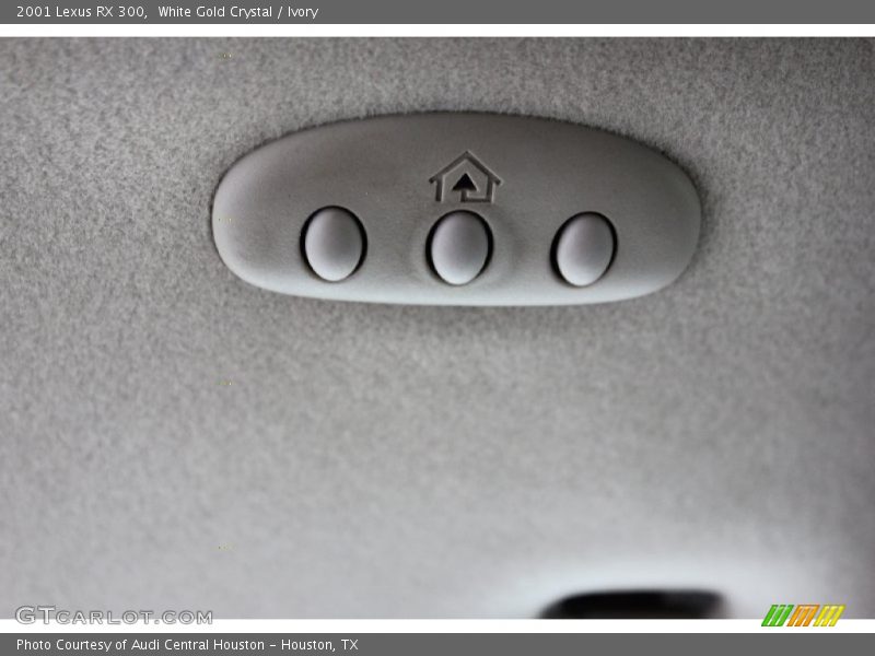 White Gold Crystal / Ivory 2001 Lexus RX 300