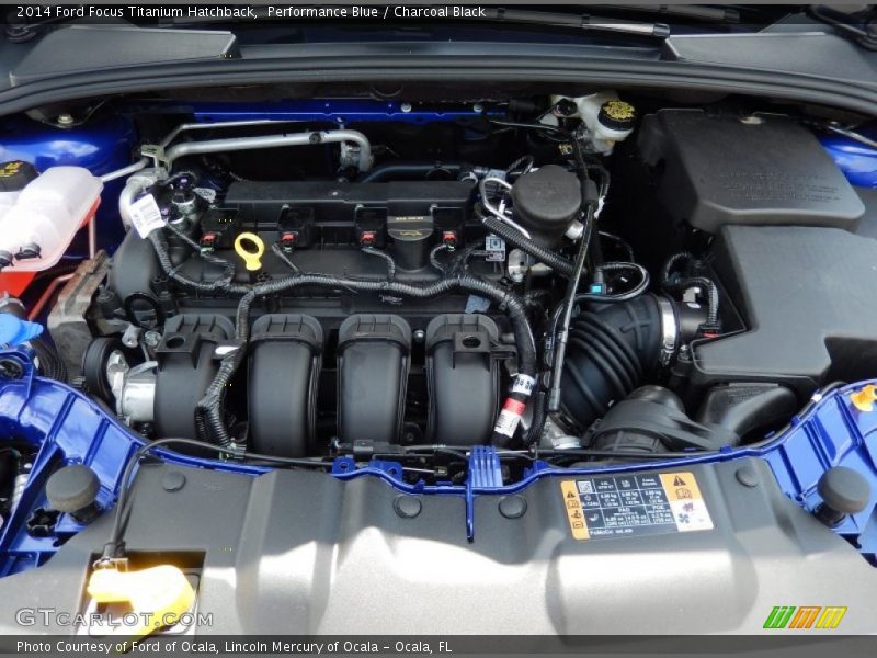 Performance Blue / Charcoal Black 2014 Ford Focus Titanium Hatchback