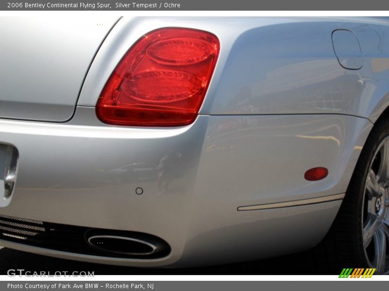 Silver Tempest / Ochre 2006 Bentley Continental Flying Spur